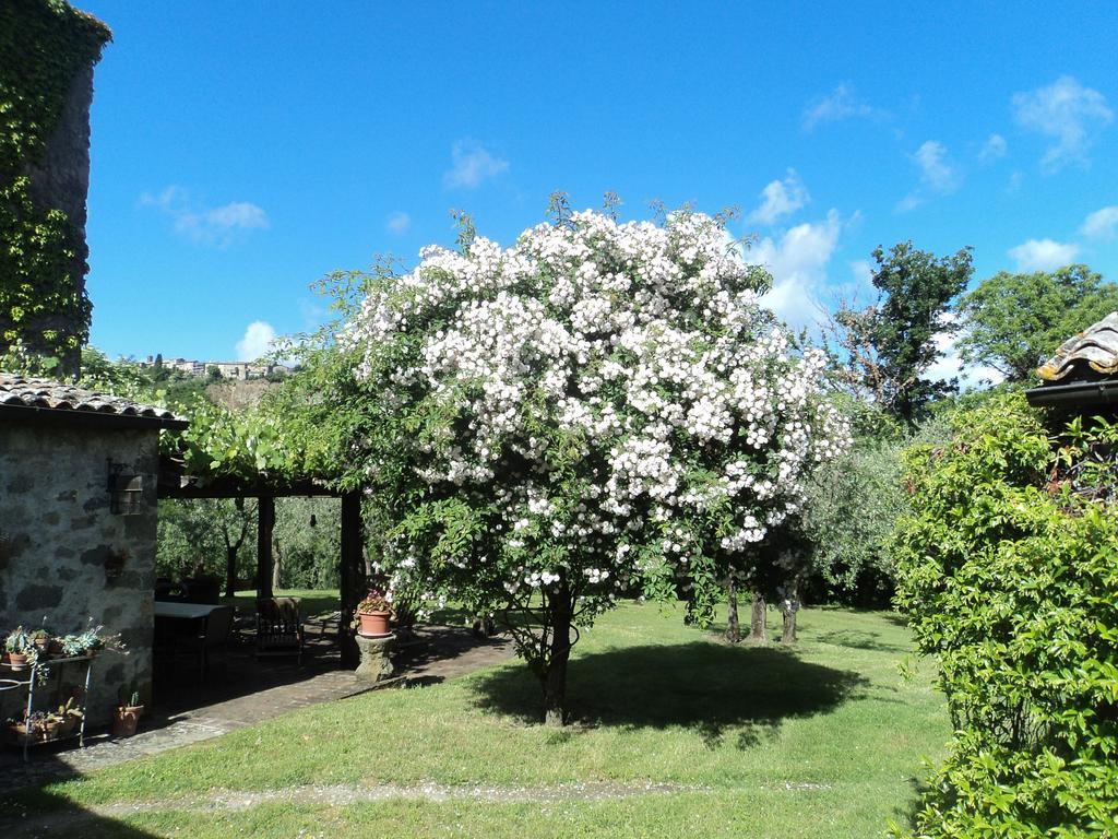 La Chiusetta Villa Orvieto Kültér fotó