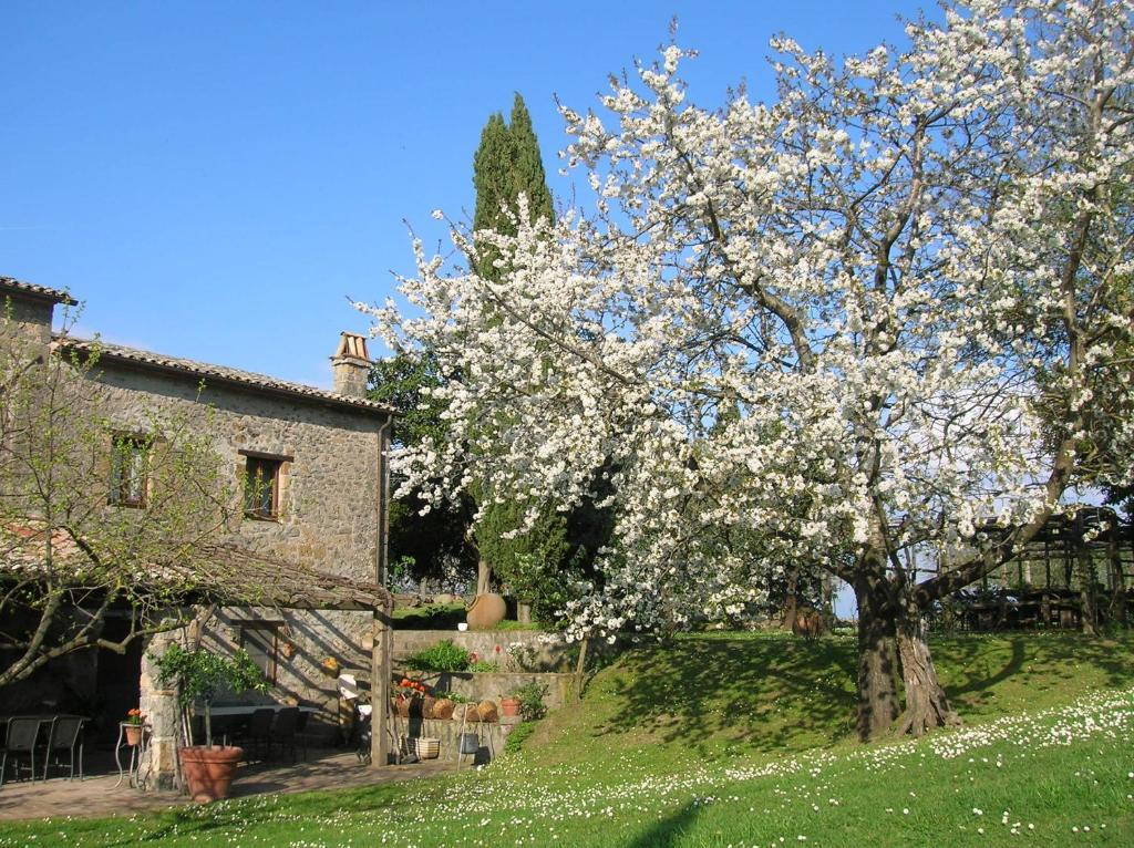 La Chiusetta Villa Orvieto Kültér fotó