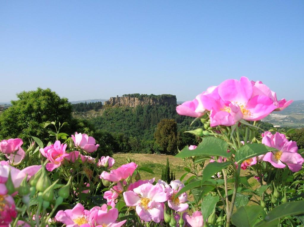 La Chiusetta Villa Orvieto Kültér fotó